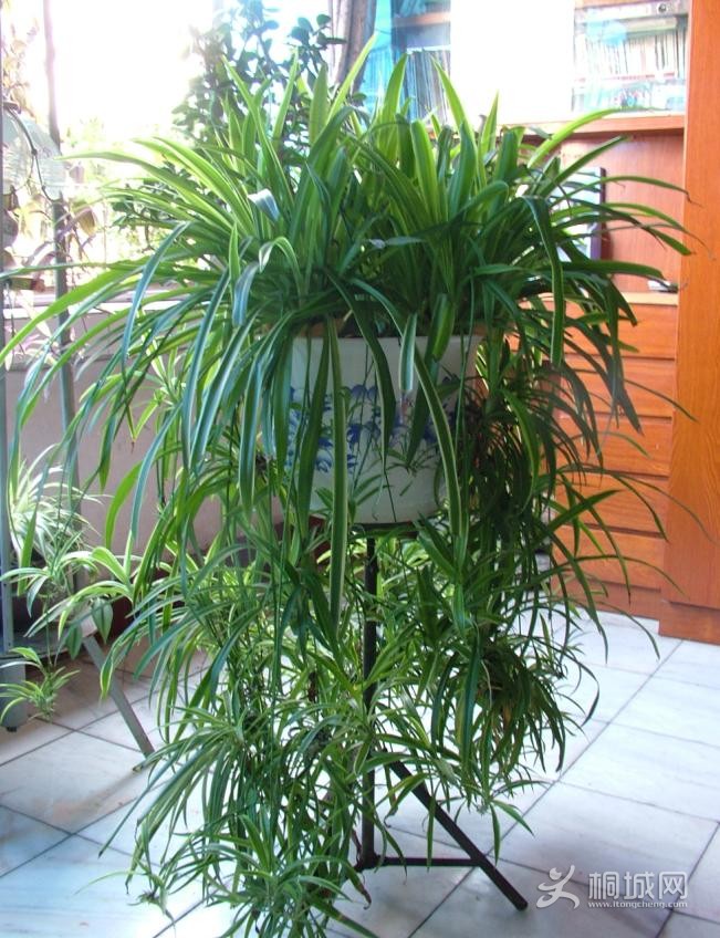 psb (2).jpg