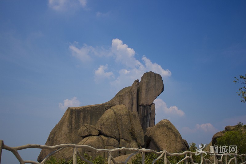 ��Գ����