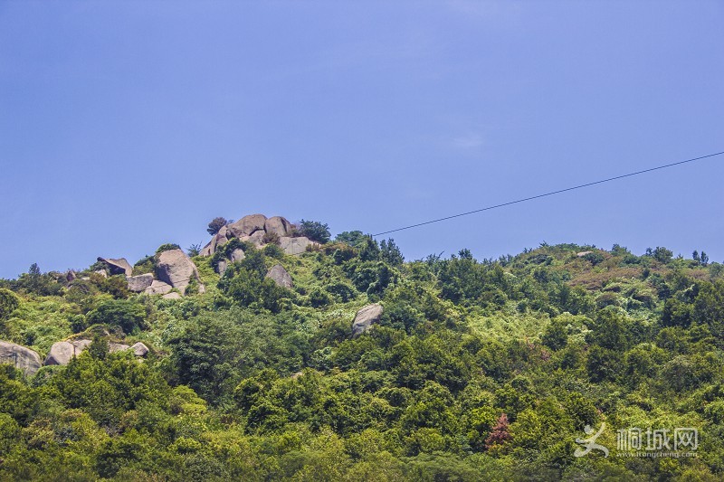 �����ױȵ�����