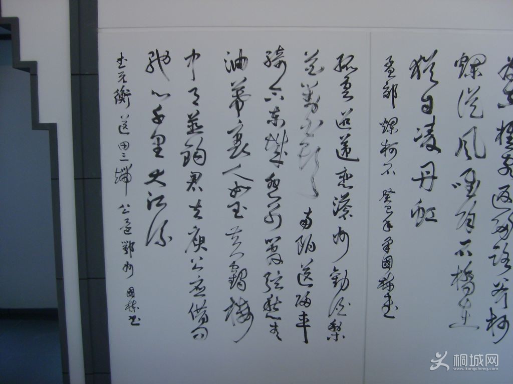 S6004604.JPG