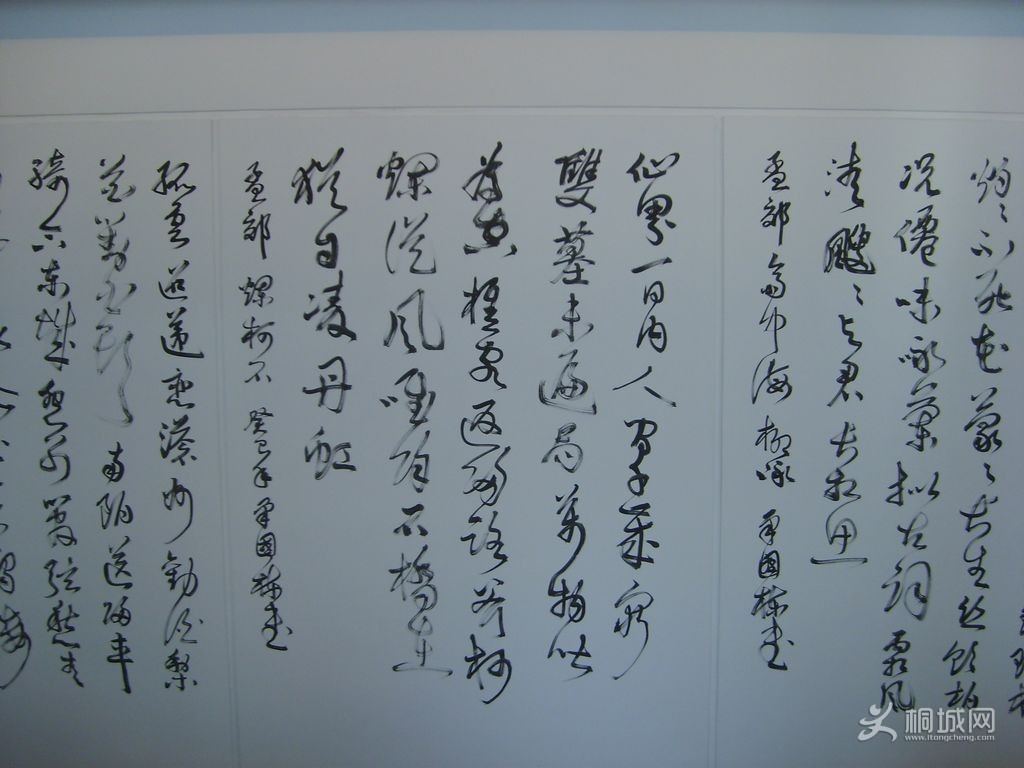 S6004605.JPG