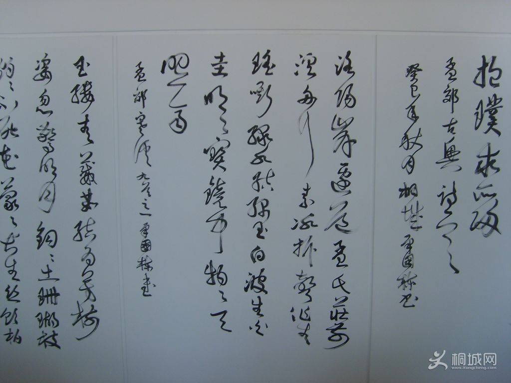 S6004607.JPG