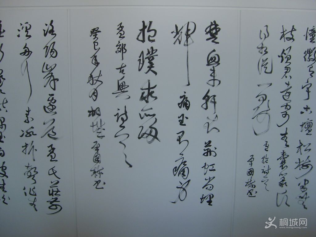 S6004608.JPG