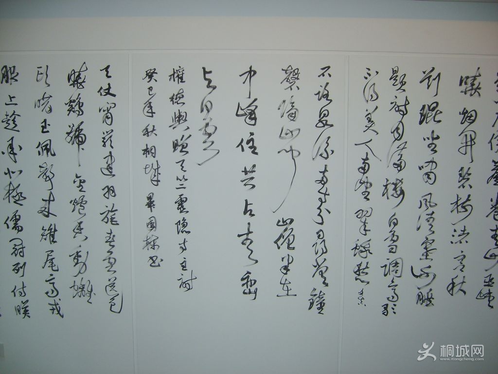 S6004615.JPG