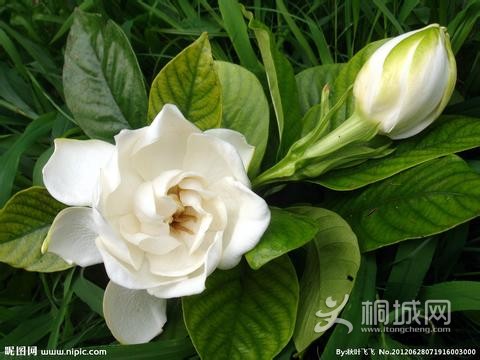 u=2074493437,2186979187&amp;fm=23&amp;gp=0.jpg