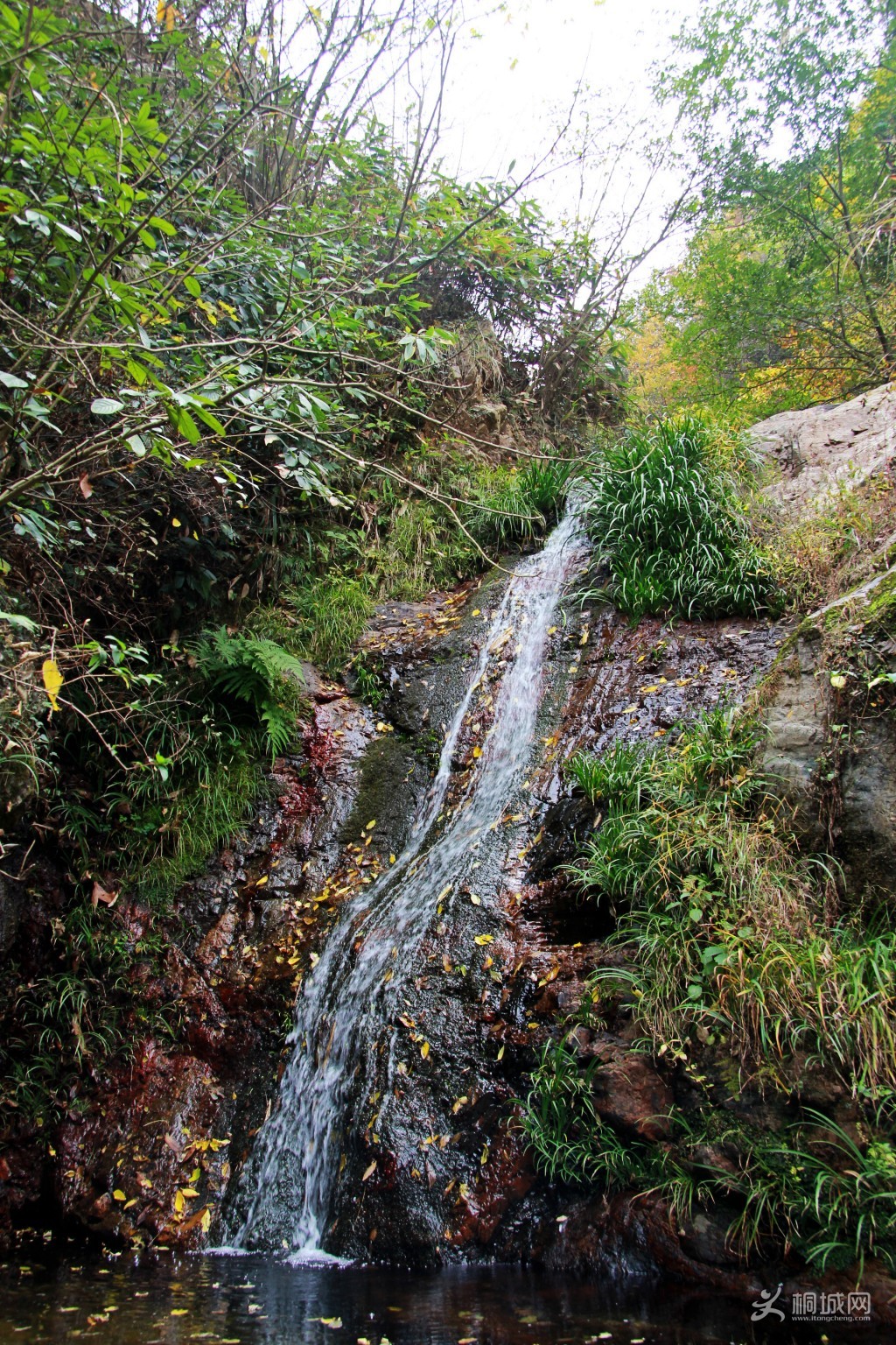 conew_img_1401.jpg