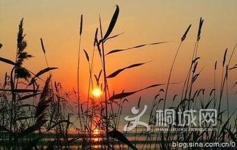 t012d3843f536627a10.jpg