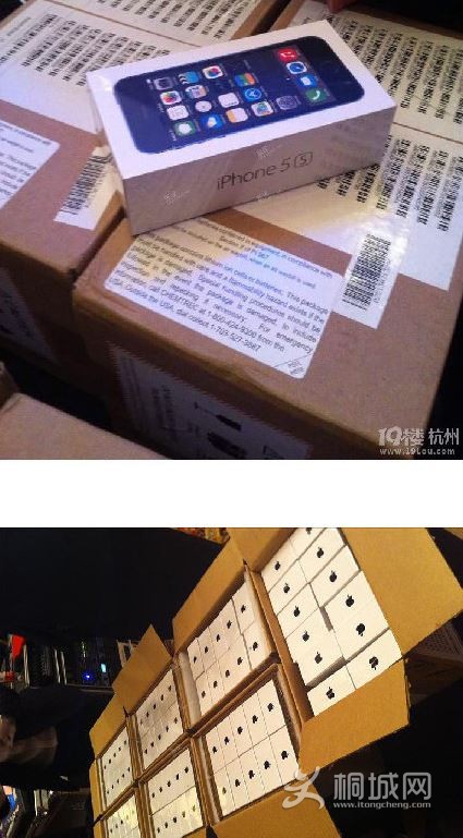 Img389688100 (1).jpg