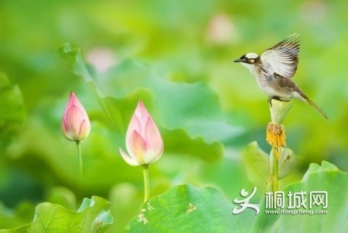 ����ʱ��--����������