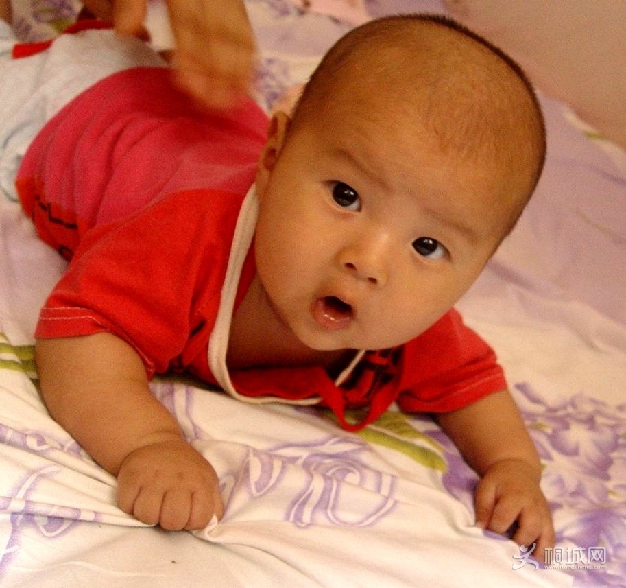 201301.jpg