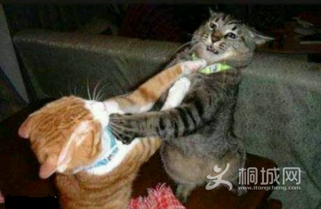 QQͼ20131111000719.png
