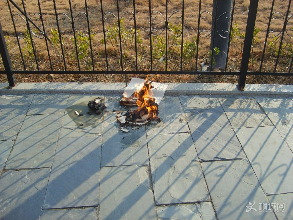 S6004602.JPG