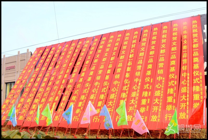 �Ķ�һƷӪ�����Ŀ����ߵ������