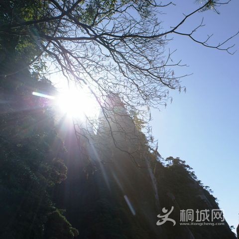 DSC06126.JPG
