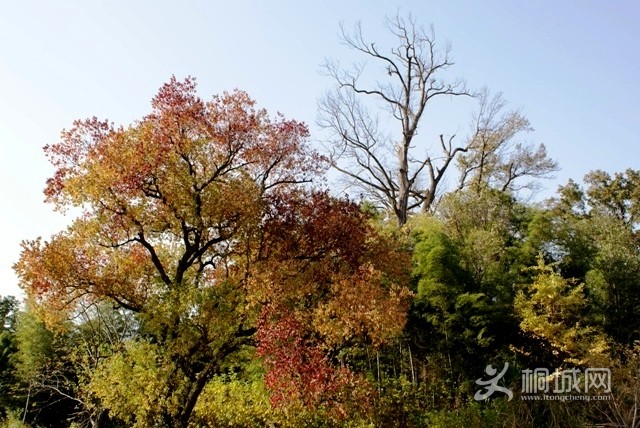 DSC06559.JPG