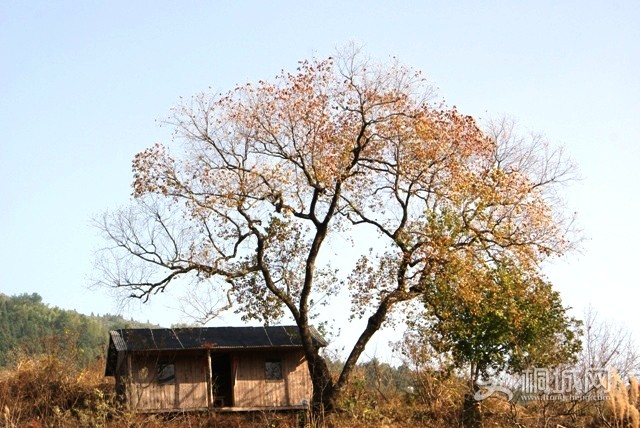 DSC06571.JPG