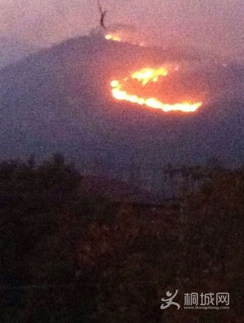 ���� ͼΪ�����ֳ�֮һ.JPG