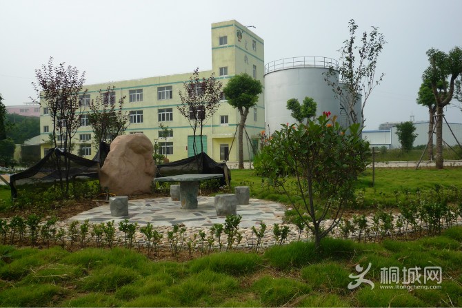 ��˾����