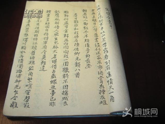 02.jpg