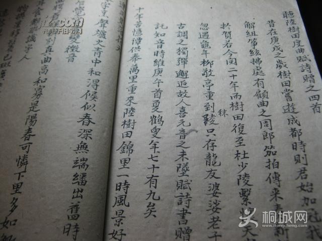 05.jpg