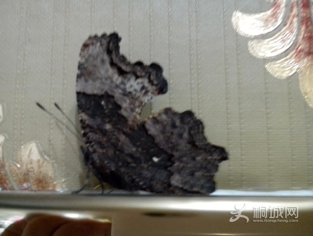 QQͼƬ20140225133455.jpg