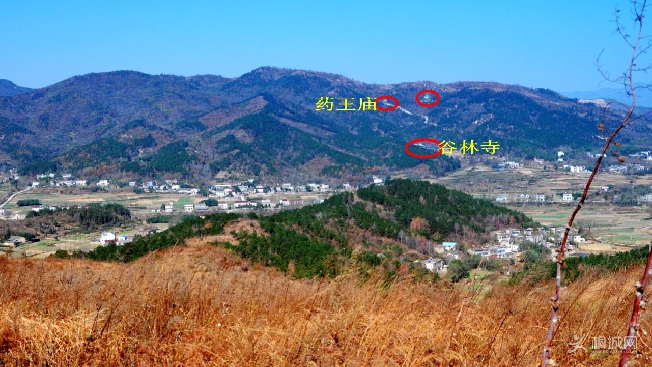 0097_conew1.jpg