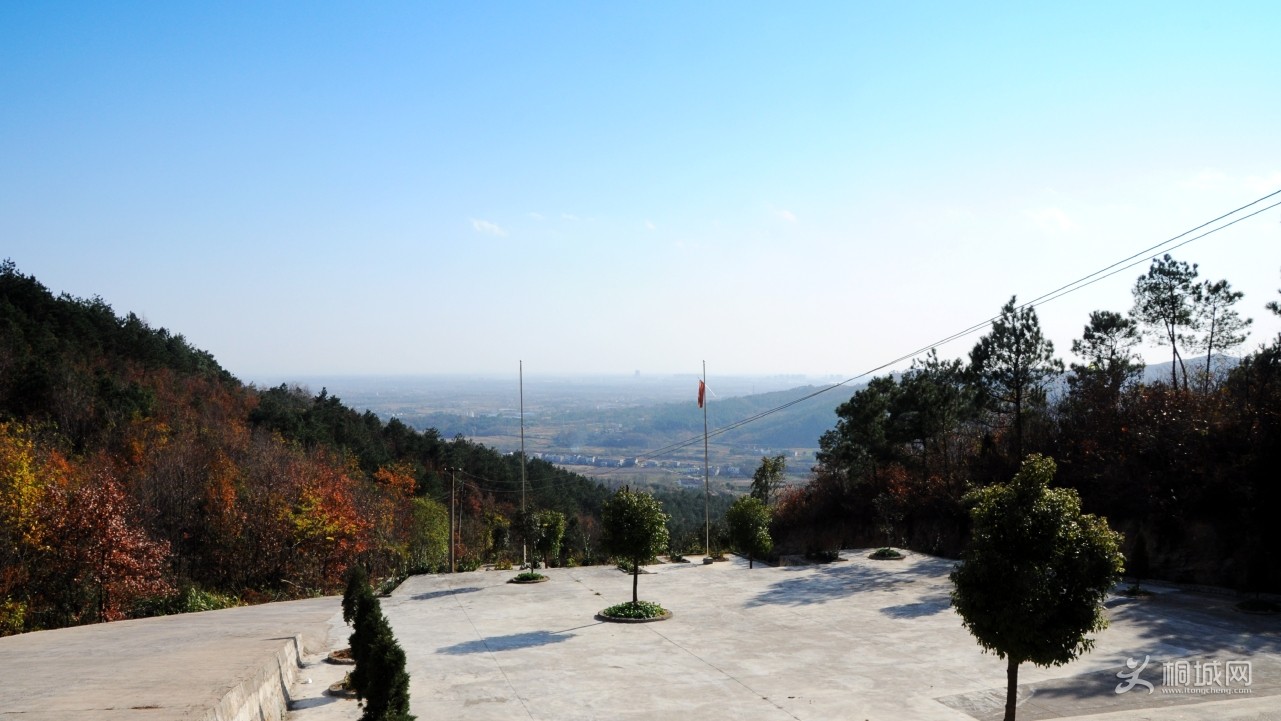 0130_conew1.jpg
