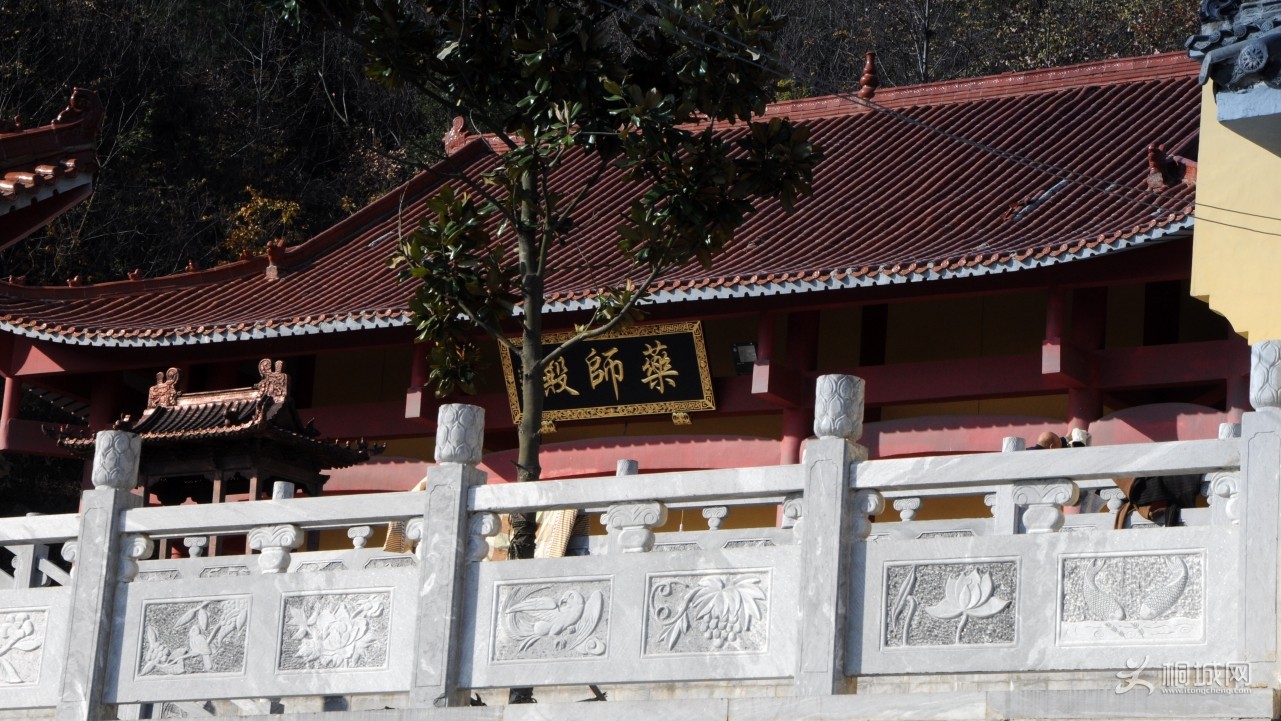 0137_conew1.jpg