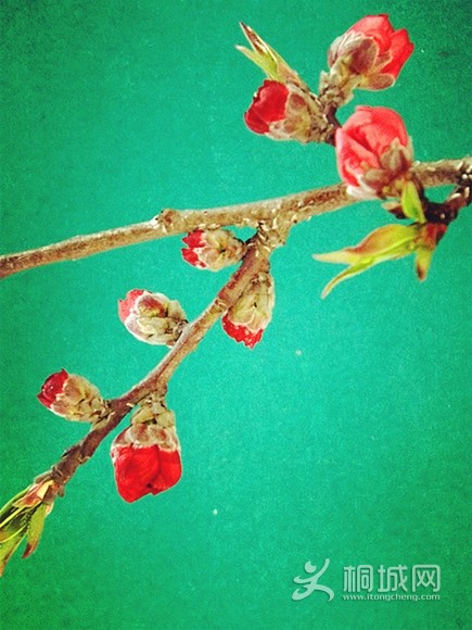 �����һ�