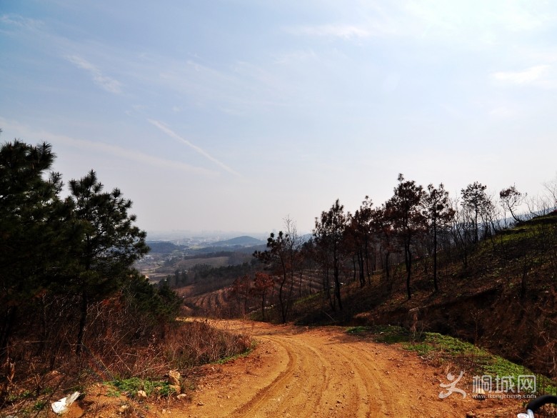 DSC_2222_conew1.jpg