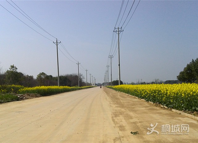 YP20140322102108460_.jpg