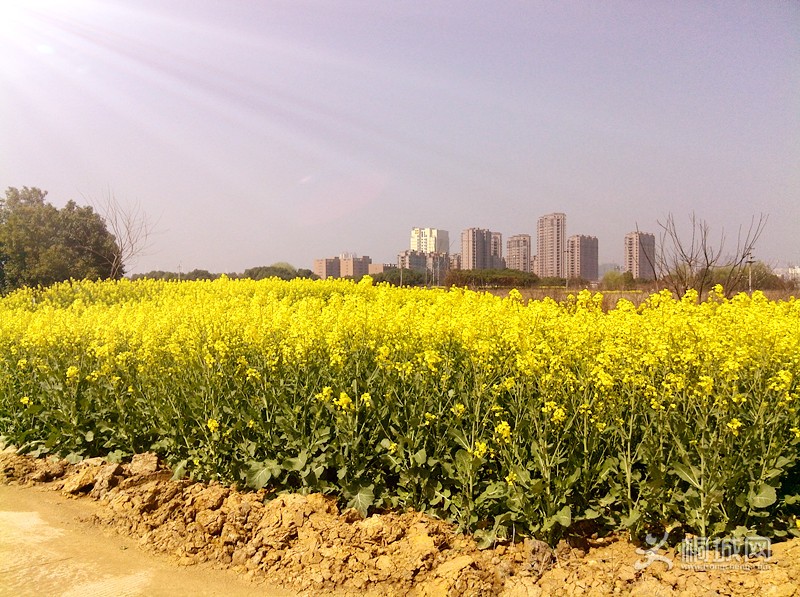 YP20140322102113479_.jpg