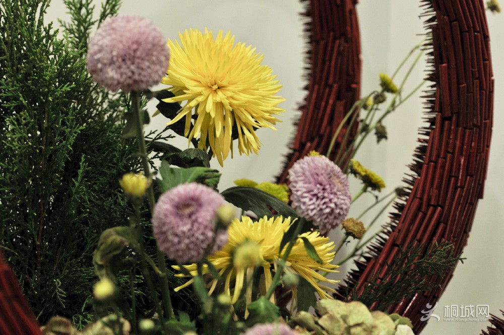 ������������˵���� 2013��10���ġ�.jpg