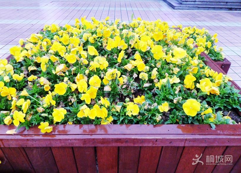 4�£�������Բ��