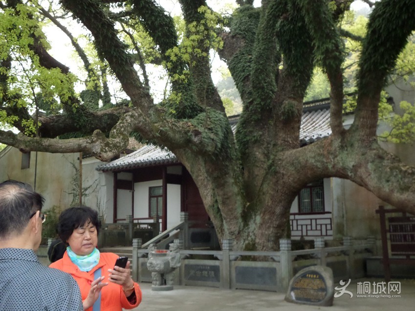 ��˵���޾�Ѿ�������������