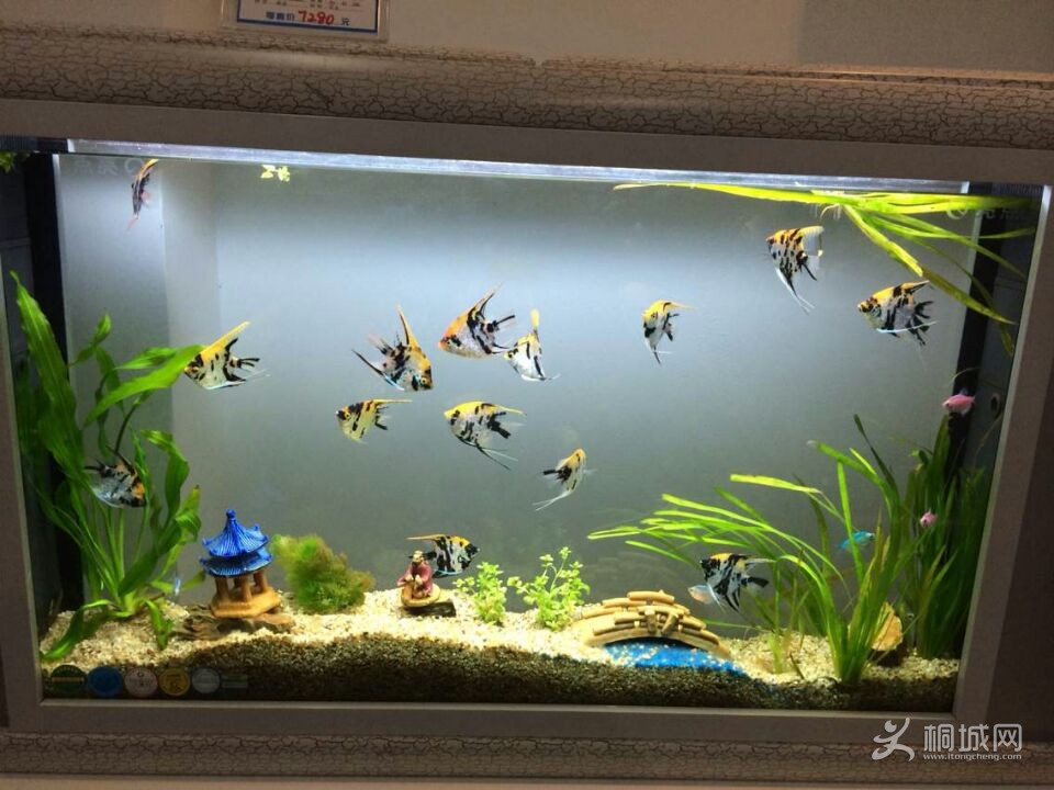 ���� 6COE5Z$H4C1HY)3ZCE0DEVC_����.jpg