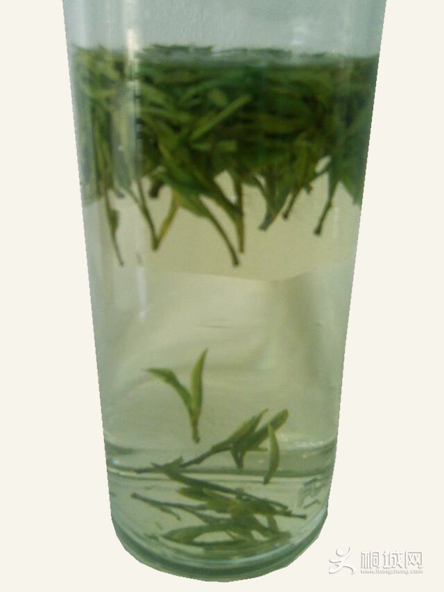 psb (8)����.jpg