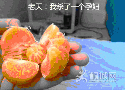 �����г�������