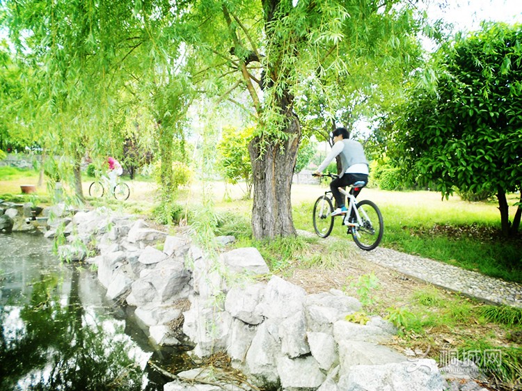 ���� 013.jpg