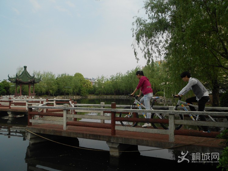 ���� 015.jpg