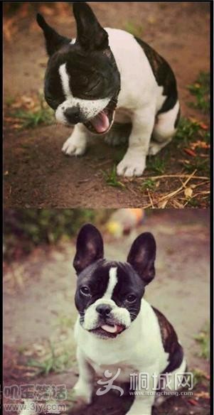 �������ÿ���ϰ������״̬��������