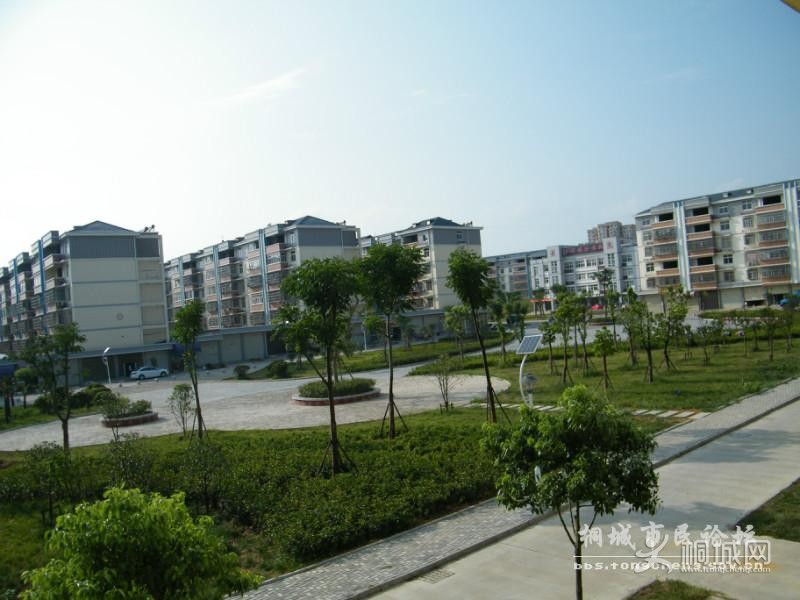 12081013484113.jpg