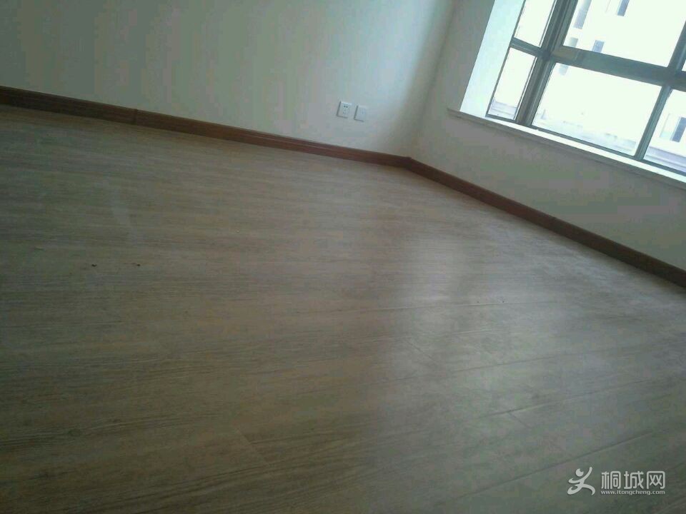 AED318EFAA39B85E28913A41E3976879.jpg