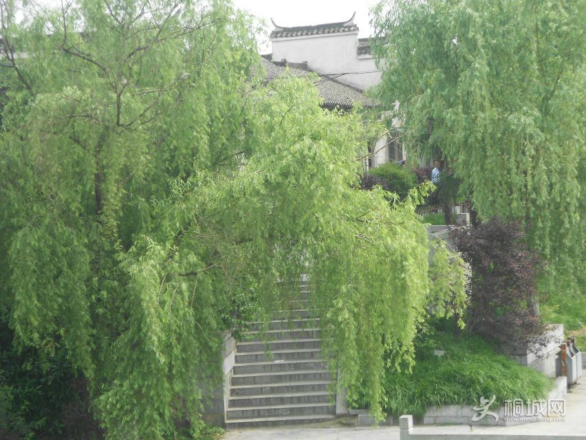 psbCA43ISC5.jpg