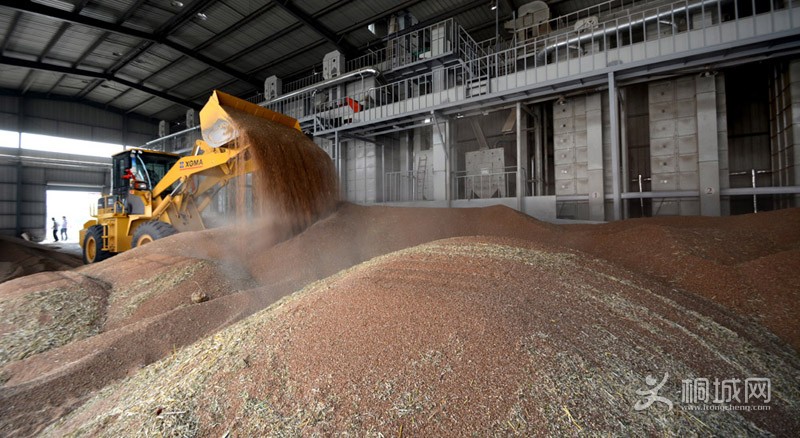 ���ܻ���ʳ������� 