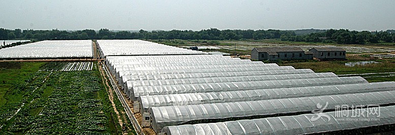 �޹��������߲���������500��Ķ