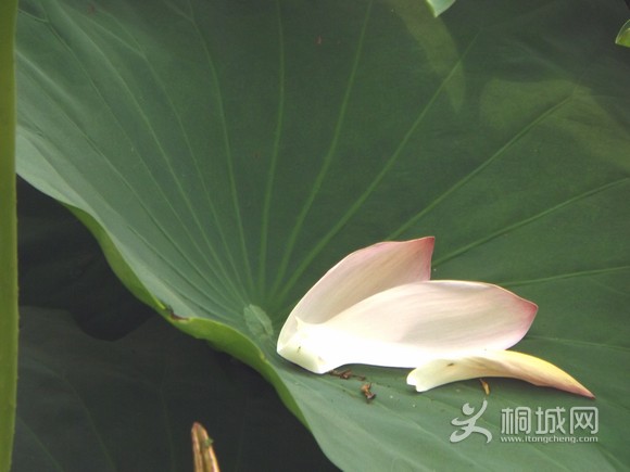 ���ȷ���