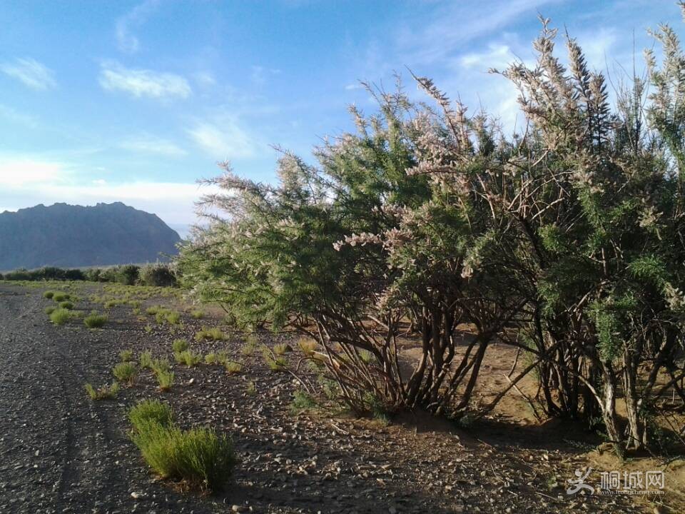 QQͼƬ20140726000308.jpg