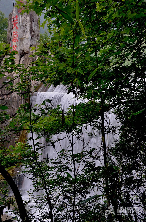 DSC_6832.jpg