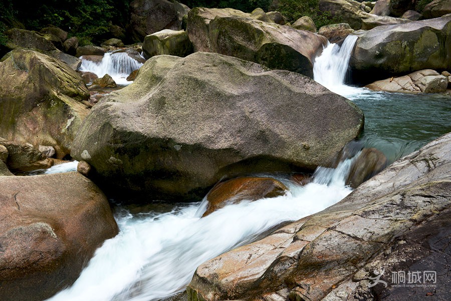 DSC_6869.jpg